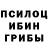 Галлюциногенные грибы Magic Shrooms F3F4IK