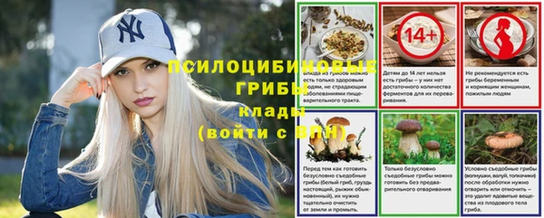 мяу мяу мука Абаза