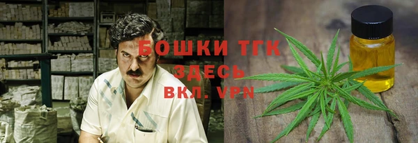 эйфоретик Абинск