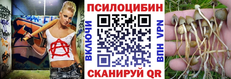 ссылка на мегу ссылки  что такое наркотик  Шенкурск  Галлюциногенные грибы Cubensis 
